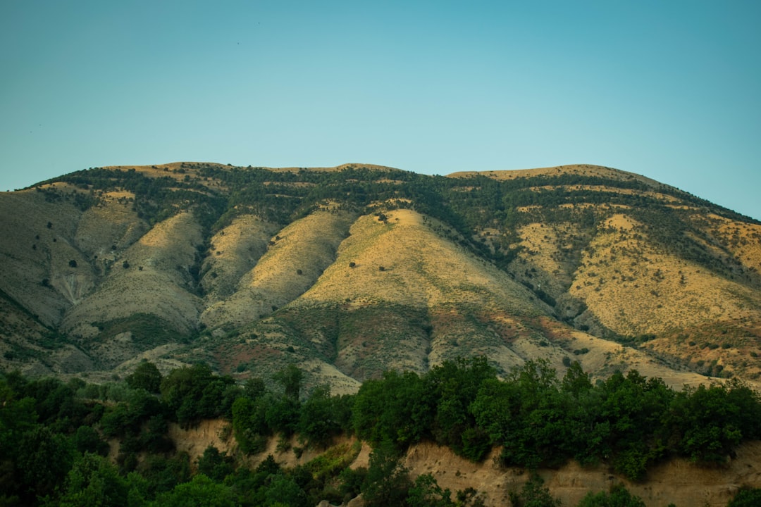 green trees on brown mountain under blue sky during daytime