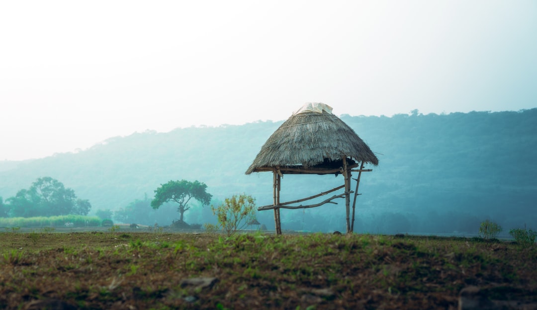 a hut in a field