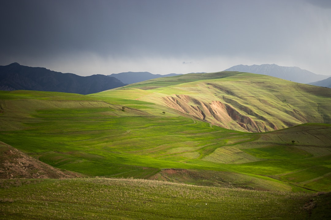 a green hilly landscape